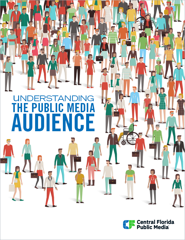 Understanding the Public Media Audience eBook cover